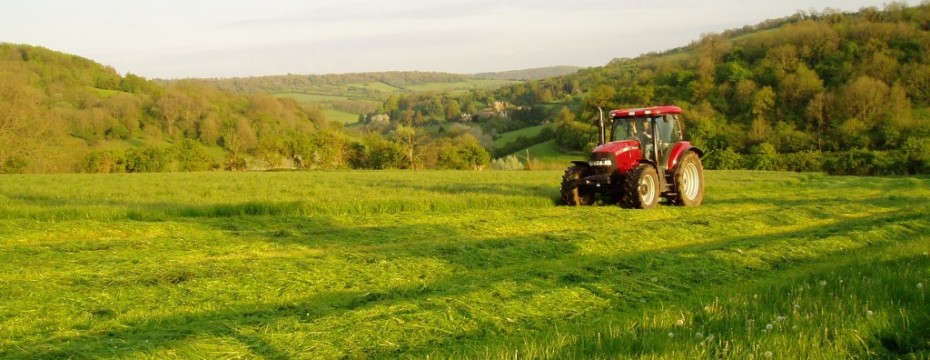 Tracor-cutting-silage-at-Nailey-Farmwide